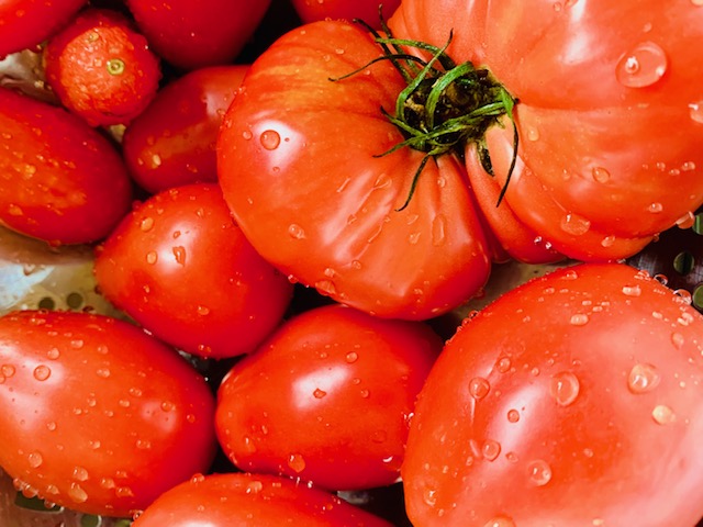 Fresh Roma Tomatoes