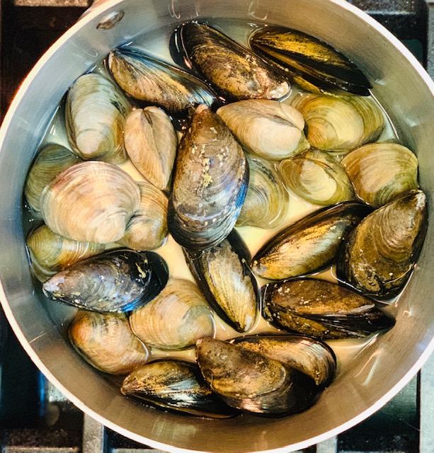 Mussels and clams cooking