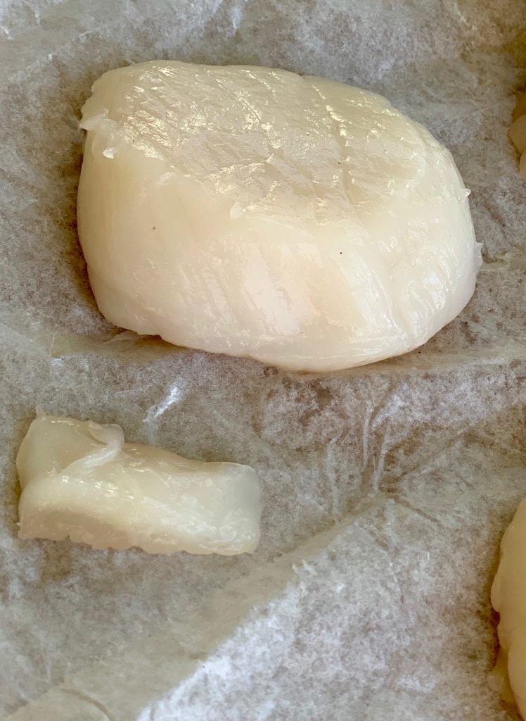 Scallop with muscle removed