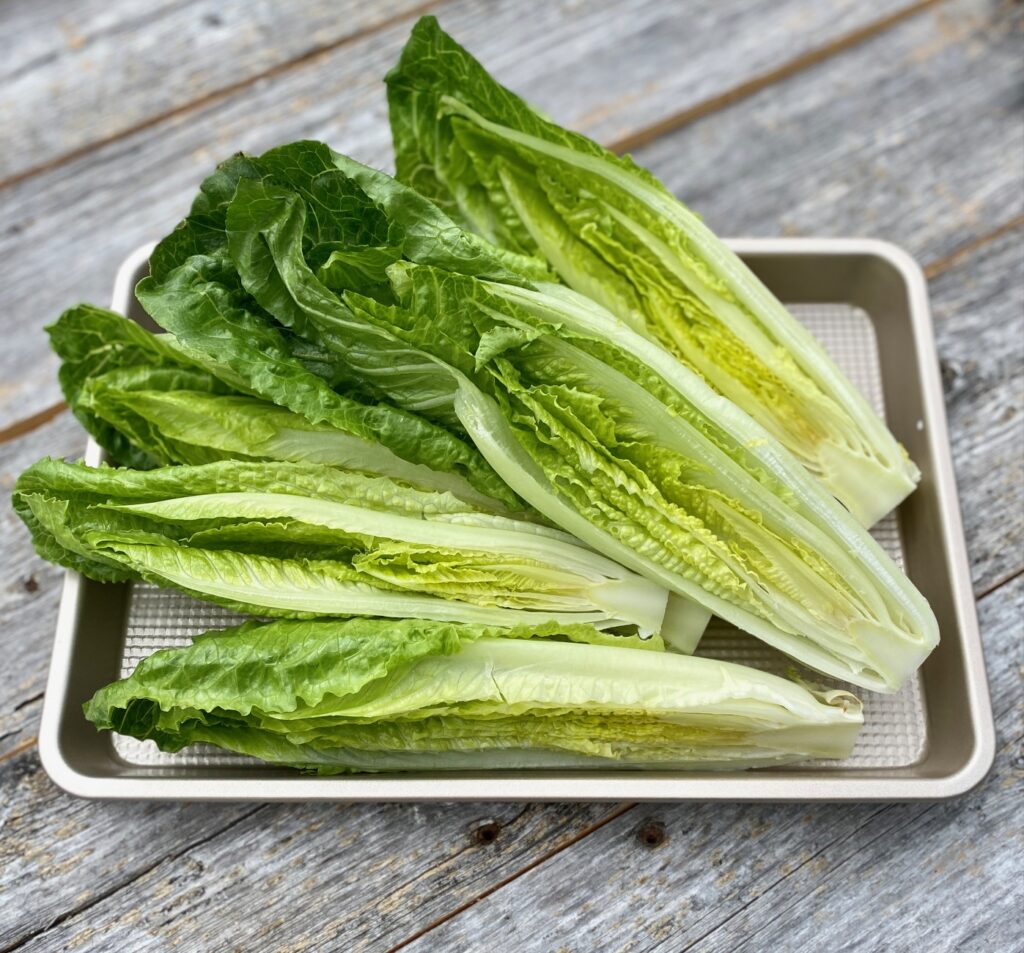 cut heads of romaine lettuce on a tray