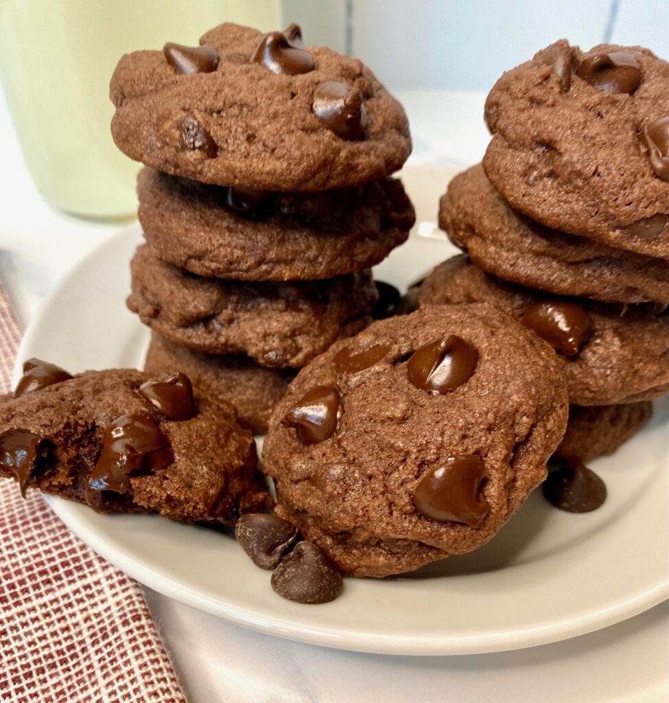 stack of chocolate chocolate chip cookies