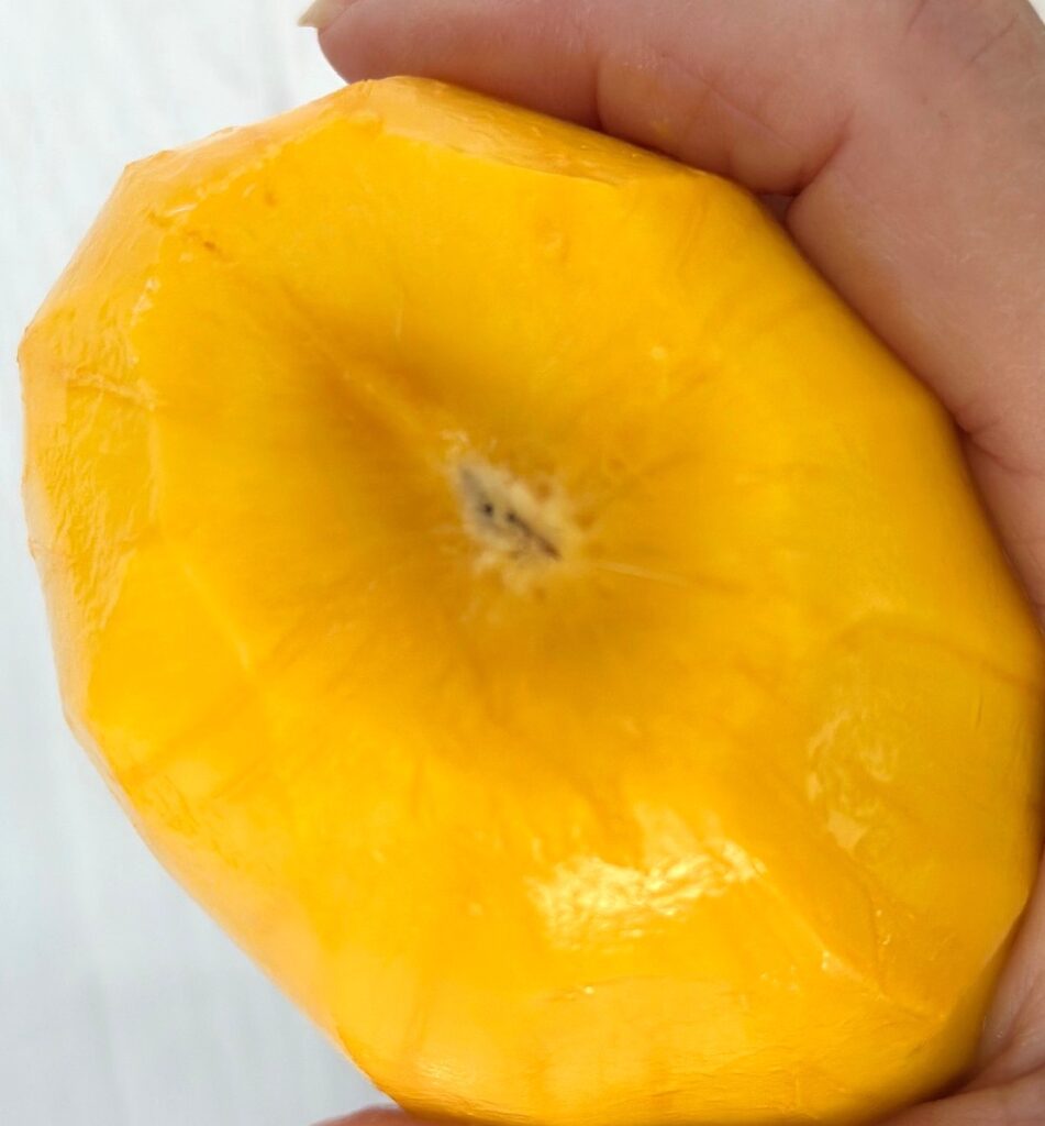 Mango Seed